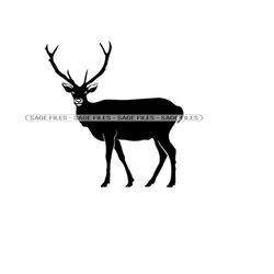 deer 6 svg, deer svg, deer png, deer design, deer clipart, deer cut files, png, dxf