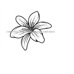 Lily Flower 3 SVG, Lily Flower Svg, Lily SVG, Flower Svg, Lily Flower Clipart, Files for Cricut, Cut Files For Silhouett