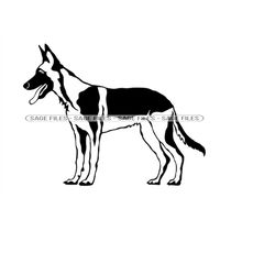 Belgian Malinois Svg, Dog Svg, Belgian Malinois Clipart, Belgian Malinois Files For Cricut, Cut Files For Silhouette, Pn