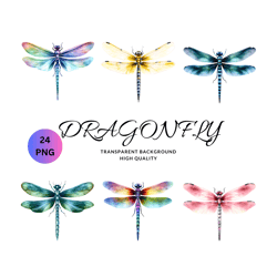 24 png dragonflies clipart, painted dragonfly clipart, insect illustrations, png graphics, scrapbook embellishments comm