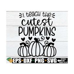 i teach the cutest pumpkins in the patch, halloween teacher svg, thanksgiving teacher shirt svg, fall teacher shirt svg,