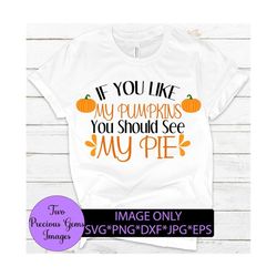 if you like my pumpkins you hould see my pie, funny thanksgiing svg, sexy thanksgiving shirt svg, thanksgiving svg png,