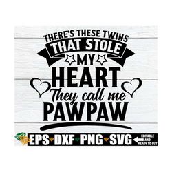 there's these twins that stole my heart they call me pawpaw, pawpaw father's day shirt svg png, father's day gift for pa