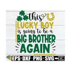 this lucky boy is going to be a big brother again, st. patrick's day pregnancy announcement, st. patrick's day big broth