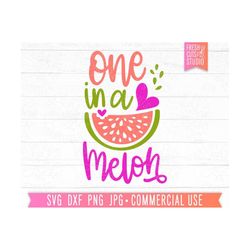 one in a melon svg baby cut file, cute baby quote svg, one year old svg, first birthday svg, watermelon svg girls shirt