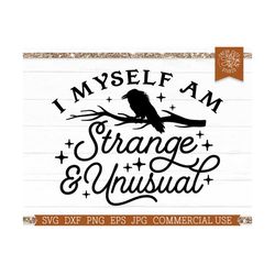 Strange and Unusual SVG Raven Cut file for Cricut, Spooky Halloween SVG and Sublimation Design, Png, Witchy Quote, Hallo