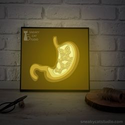 shadow box - "stomach with butterflies" - shadow light box template (digital svg pdf) | diy | handmade | 3d papercraft