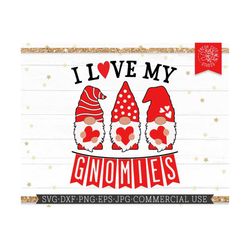 Valentine Gnomes SVG, I Love My Gnomies Cut File for Cricut, Silhouette, Gnomes with Hearts, Valentine Shirt Design, Lay