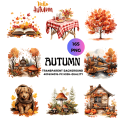 autumn clipart bundle - 165 png cute fall images, instant digital download, commercial use, transparent background