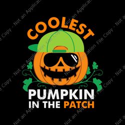 coolest pumpkin in the patch halloween svg, coolest pumpkin svg, pumpkin svg, halloween svg