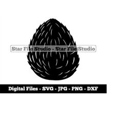 coconut svg, tropical svg, coconut png, coconut jpg, coconut files, coconut clipart