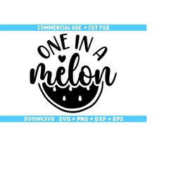 one in a melon svg, baby sayings svg, baby shower svg, baby svg, funny baby svg, new baby svg, new mom svg, newborn svg