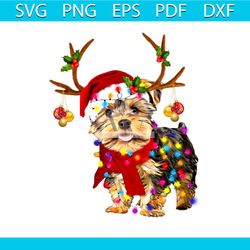 dog christmas svg, animal svg, santa hat svg, reindeer band svg, red scarf svg, christmas light svg, star svg, christmas