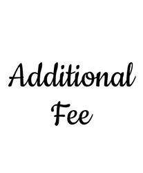 additional fee  reshipment fee.jpg