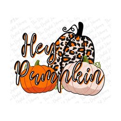 hey pumpkin png, clipart for fall, hand drawn line font with black & orange, thanksgiving, doodle pumpkin, trio, beige o