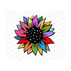 sunflower svg colorful sunflower sublimation designs  bright flower instant  png digital download