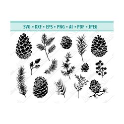 pine cone svg, fall svg, woodland pine cone svg, autumn plant svg, conifer cone svg, pine cone clipart, pinecone cut fil