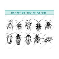 cockroach svg, cockroach clipart, cockroach files for cricut, cockroach cut files for silhouette, cockroach dxf, cockroa