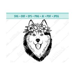 dog svg, dog with flower crown svg, dog cut file, husky svg, sibirian dog svg, animal floral crown, dog with flowers wre
