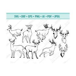 deer svg, deer head svg, deer clipart,  deer head clipart, deer vector svg ,hunting svg files, svg files for cricut, dee