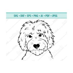 goldendoodle svg - dog silhouettes - dogs svg - digital cutting file - vector cut - cricut cut - instant download - svg,