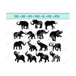 elephants svg bundle, elephant svg, elephants silhouette, svg files, elephant head svg, cricut cut files, silhouette cut