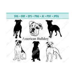 american bulldog svg, bulldog silhouette svg, dog svg, digital cutting file, vector file, cricut cut, instant download,