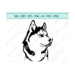 husky svg , dog svg, cut file, use with silhouette studio, design edition, cricut design , silhouette, cricut , vinyl, s