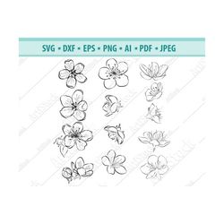 cherry blossom svg, sakura flowers svg, cherry flowers clipart, spring flowers for cricut, blooming tree dxf, svg, eps,