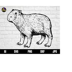 capybara svg, cute capybara svg, capybara png, head capybara svg, capybara png, ai, dxf cut file for cricut and silhouet