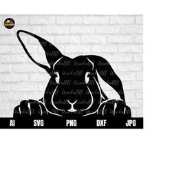 peeking rabbit svg, rabbit svg, bunny svg, rabbit funny svg, car rabbit svg, sticker bunny svg, cute rabbit svg for cric