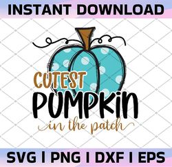 cutest pumpkin in the patch png, thanksgiving kids shirt png, fall pumpkin designs, sublimation cute fall shirt kids des