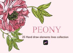 peony _hand draw elements lines collection brushes