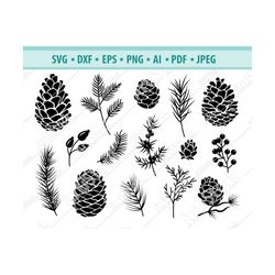 pine cone svg, fall svg, woodland pine cone svg, autumn plant svg, conifer cone svg, pine cone clipart, pinecone cut fil