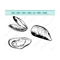 clams svg, clams clipart svg, beach svg, shellfish silhouettes, sea svg, ocean svg, clams files for cricut, vector, svg,