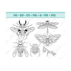 Mystic beetle Svg, Death's Head beetle Svg, Scarab Svg, Spooky beetle Svg, Files for cricut, Insect Svg, Magic moth Svg,