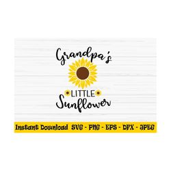grandpas little sunflower svg, summer svg, baby kids svg, dxf, png, eps, jpeg, cut file, cricut, silhouette, print, inst