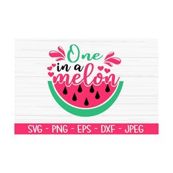 one in a melon svg, summer svg, watermelon svg, baby kids Dxf, Png, Eps, jpeg, Cut file, Cricut, Silhouette, Print, Inst