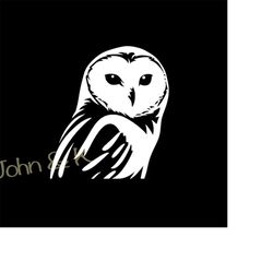 barn owl svg, barn owl vector, owl svg, barn owl clipart, owl svg for fleece, shirt, towel, cutfile png pdf jpg