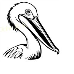 pelican svg, pelican vector, funny pelican svg, pelican clipart, funny pelican svg for fleece, shirt, towel, cutfile png