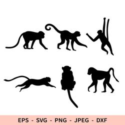 monkey svg dxf file for cricut animal silhouette realistic monkey png cut file set