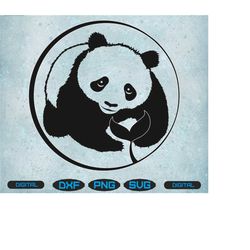 panda svg, panda bear svg