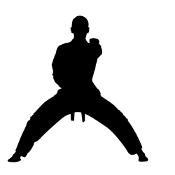 cobra kai svg bundle, karate kid svg, miyagi do svg, no mercy svg, strike first, cobra kai silhouette  digital download