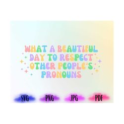 lgbtq pride  svg, lgbtq png, what a beautiful day to respect other people's pronouns svg, equality/human rights png, cri