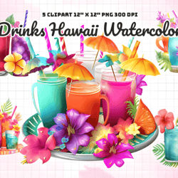 drinks hawaii watercolor sublimation summer surfing, flowers, drinks, beach, palms png, instant download, aloha hawaii