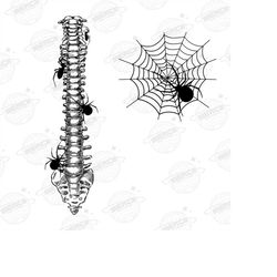 spider spine png, spooky skeleton png, spooky season png, skeleton design, fall png, halloween png, halloween gift, funn