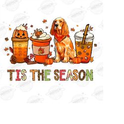 tis the season golden retriever png football latte leaves hello pumpkin fall y all vibes coffee love thanksgiving family