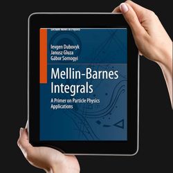 mellin-barnes integrals: a primer on particle physics applications