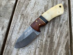 custom handmade damascus skinner knife handle rosewood & camel bone