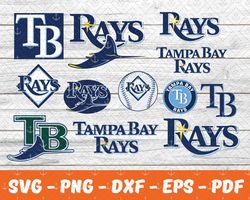 tampa bay rays bundle svg, football svg ,sport svg, sport bundle svg 68